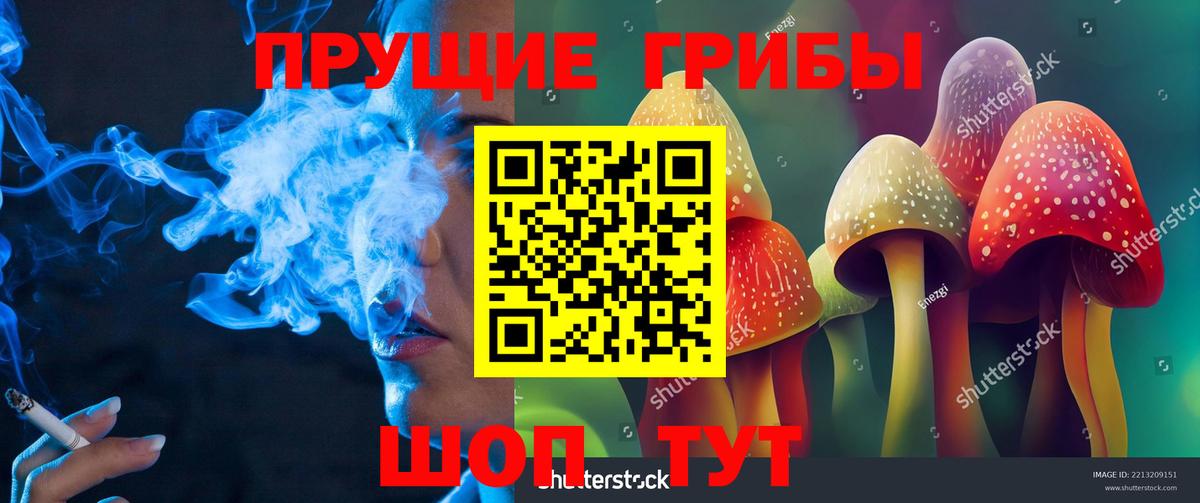 Галлюциногенные грибы мицелий  закладка  Псилоцибиновые грибы Psilocybine cubensis  Кузнецк  Вход с VPN 